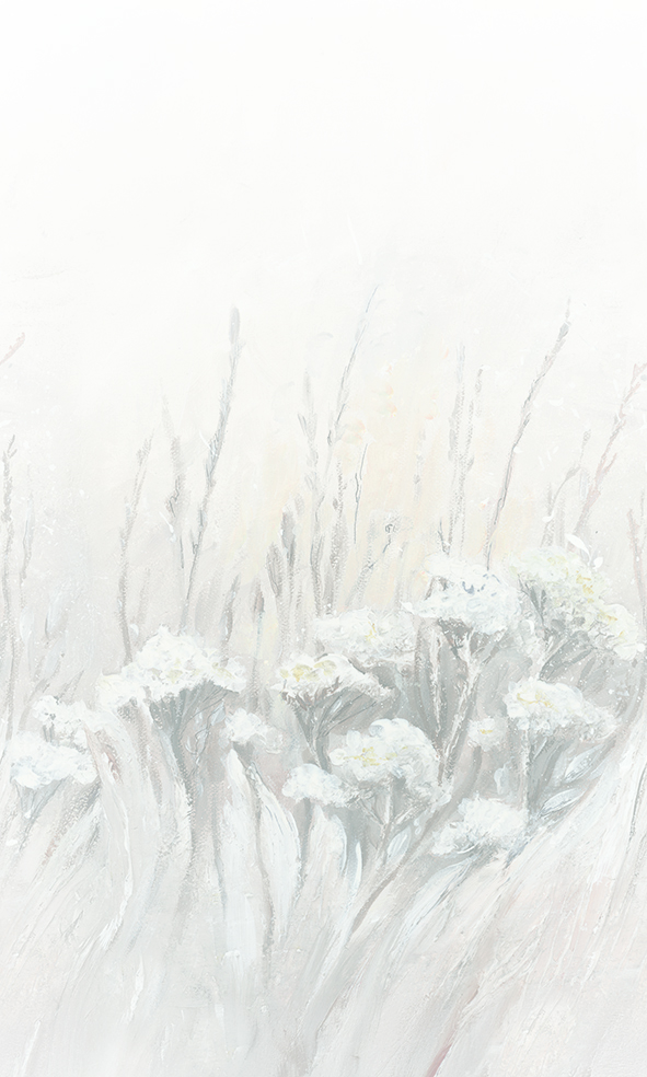 36590 - Image 2