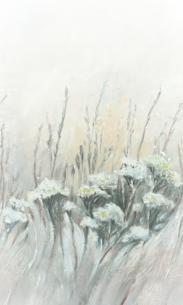36591 - Image 2