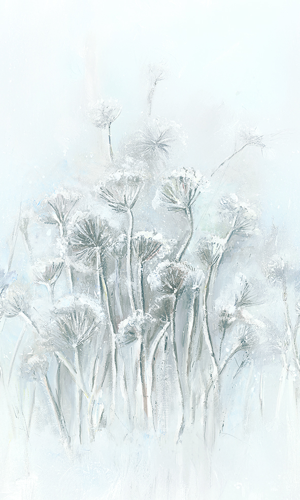 36592 - Image 2