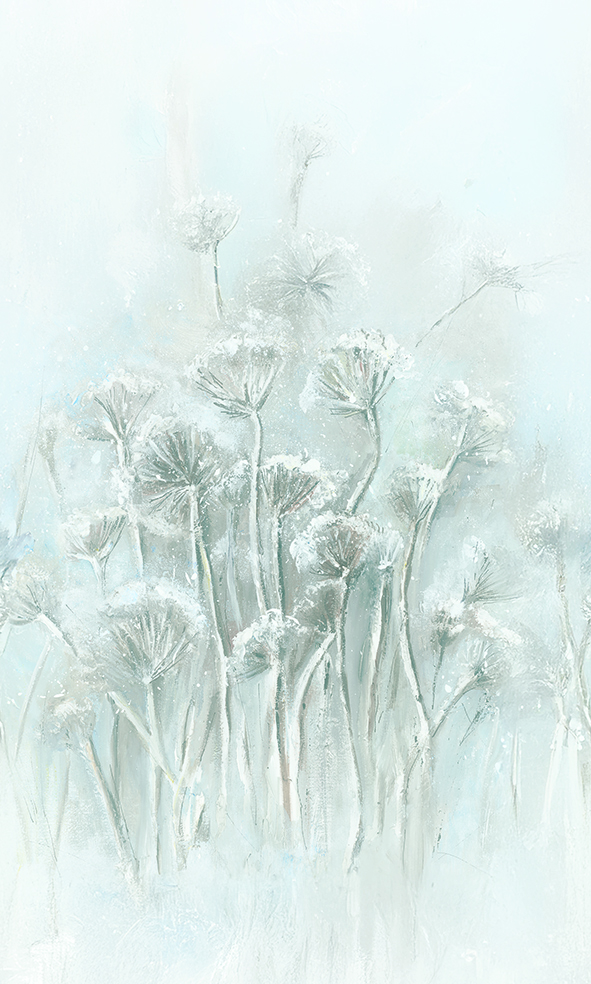 36593 - Image 2