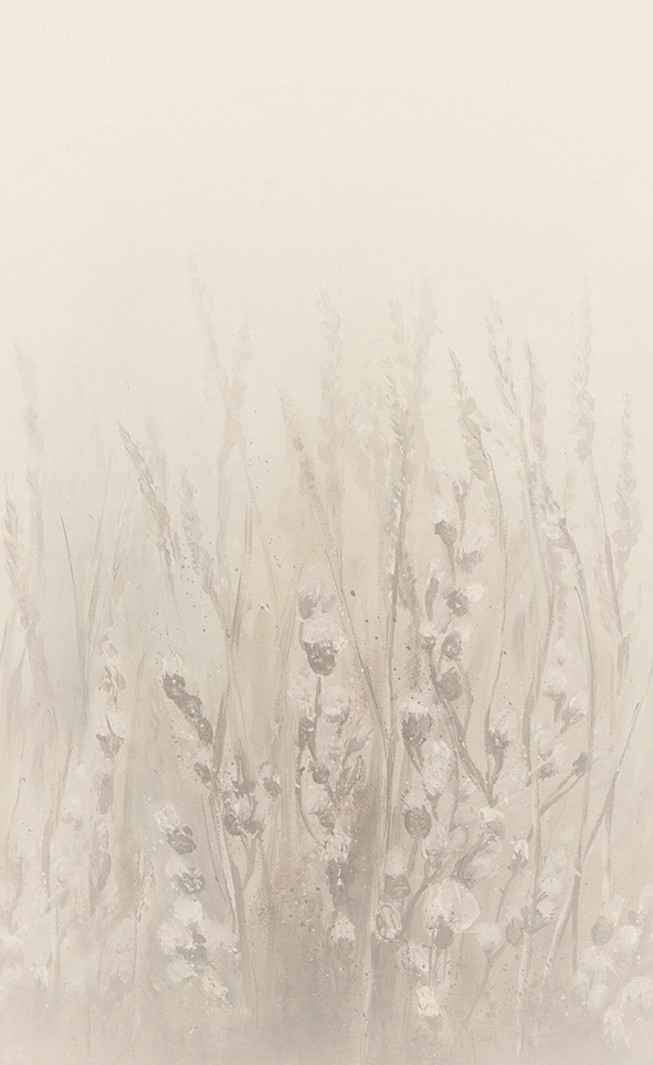 36594 - Image 2