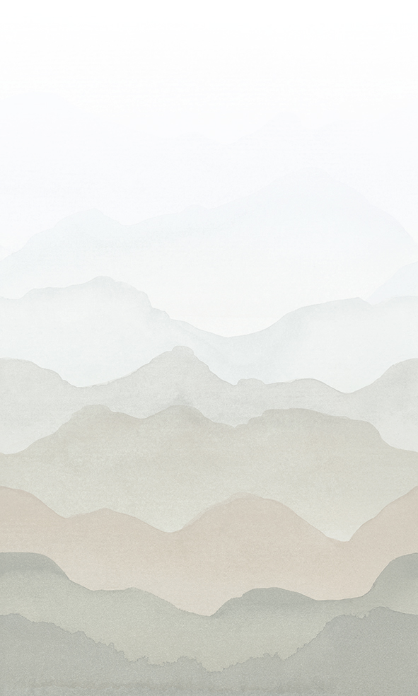36599 - Image 2